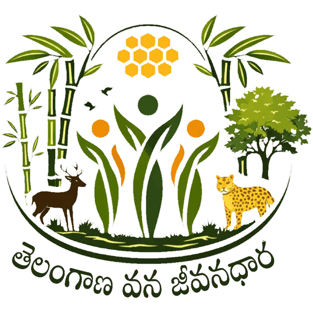Logo (1)